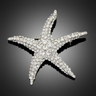 Broche starfish argentée