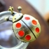 Montre collier coccinelle points rouges